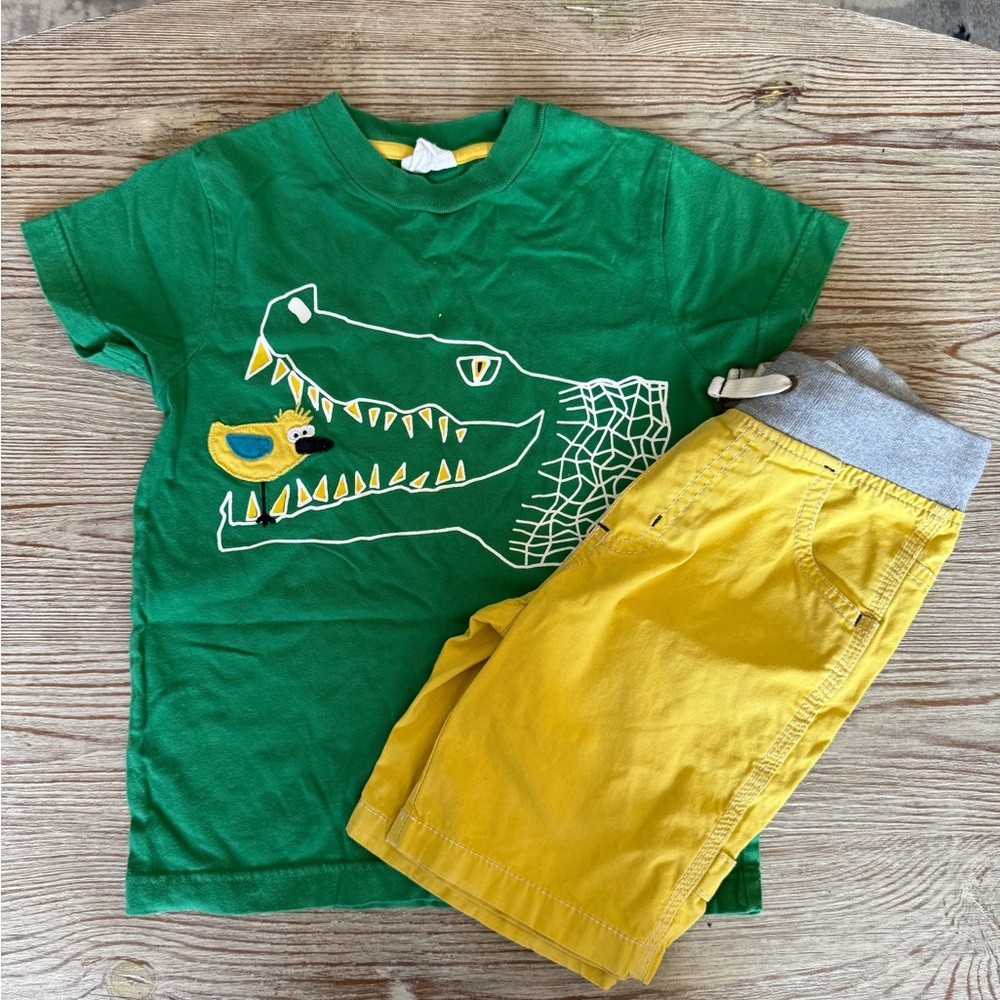 Boys Mini Biden Green Crocodile and Matching Yellow Shorts Lot Size 5-6Y